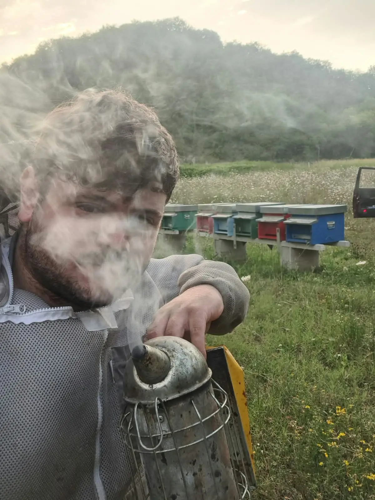 Beekeeper with a smoker in front of the hives