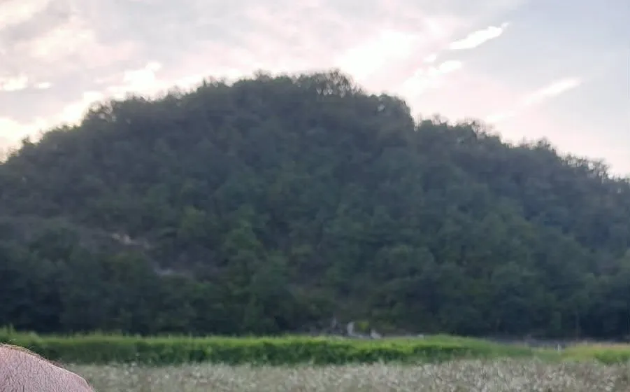 The hills and woodland of inland Le Marche